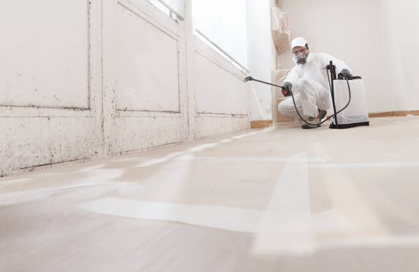 24/7 Emergency Mold Remediation experts in Burien, WA