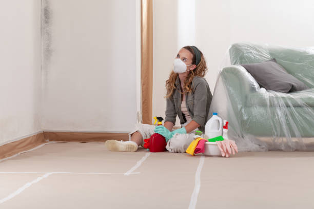 Reliable Mold Remediation contractor in Burien, WA by 24 Hour Mold Removal
